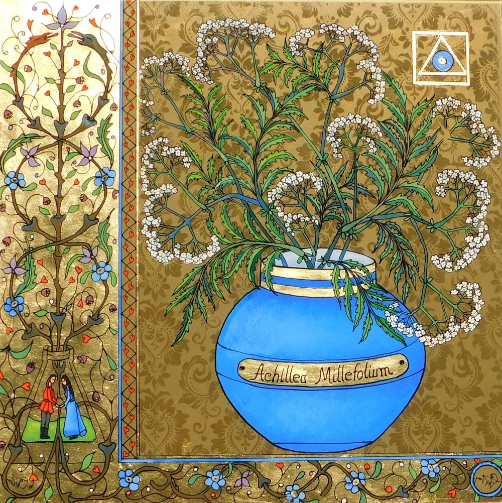 ALCHEMIA 1 - Achillea Millefollium ALCHEMIA 1 - Achillea Millefollium